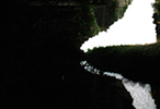 spawn